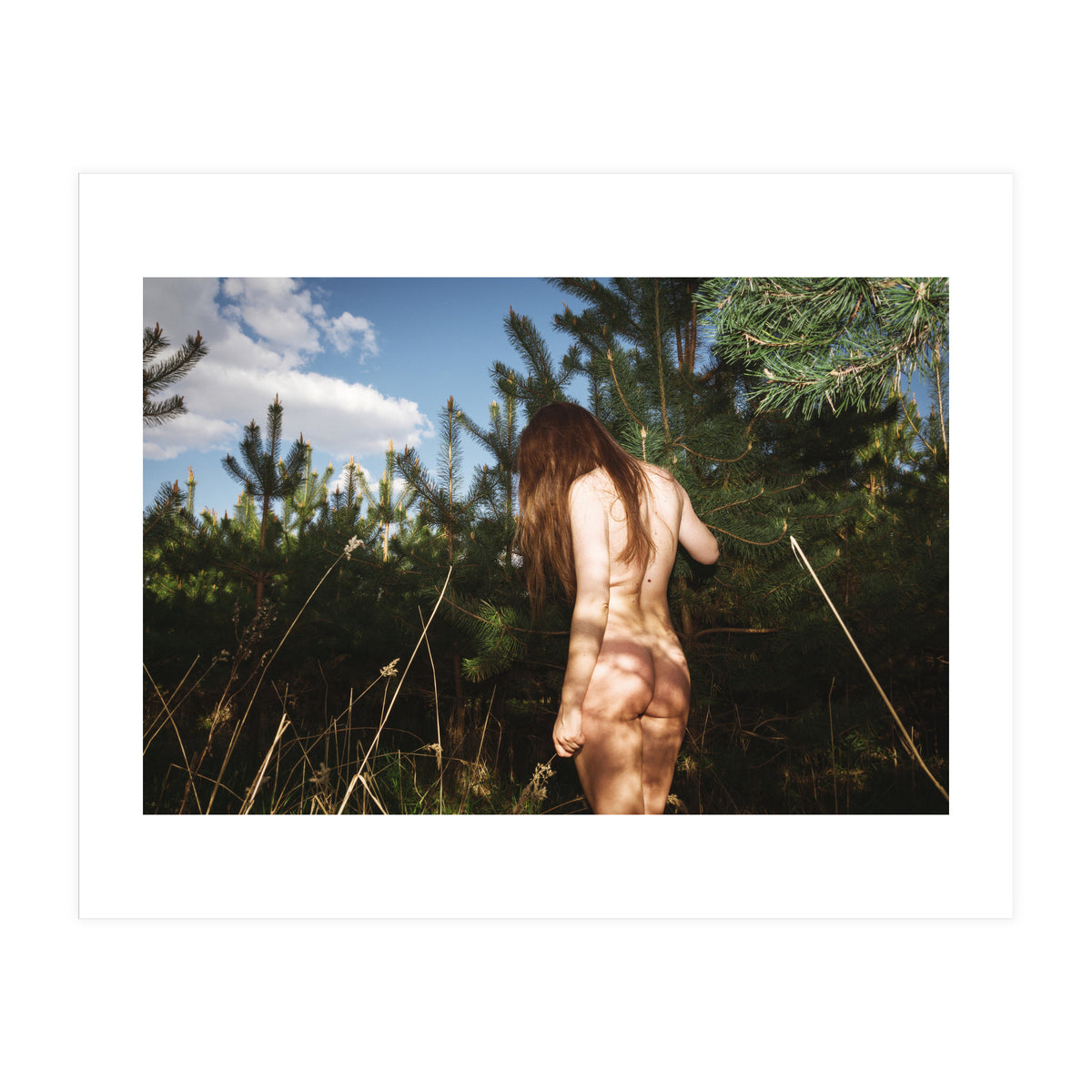 Hiding Game (Print Only)