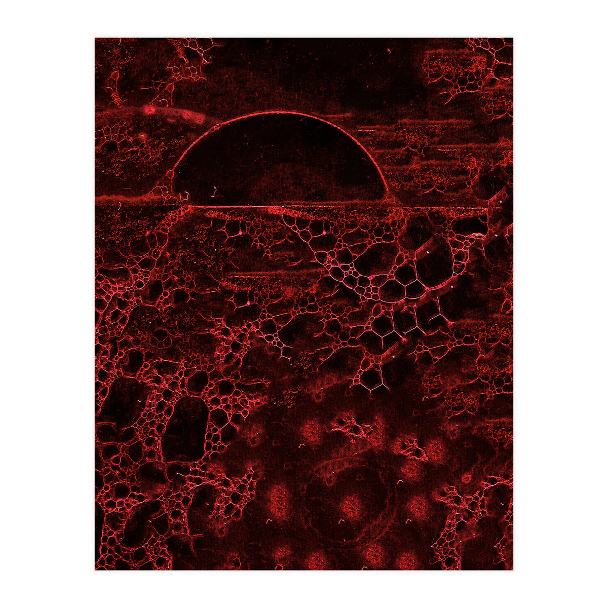 Red bubble (Print Only)