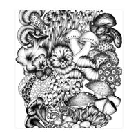 Medley Of Mushrooms (Print Only)