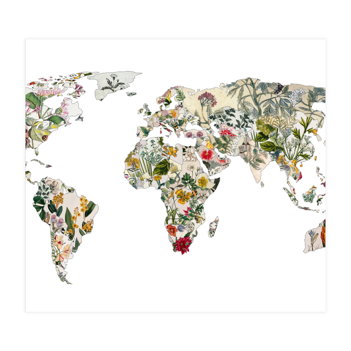 Vintage Botanical Map (Print Only)