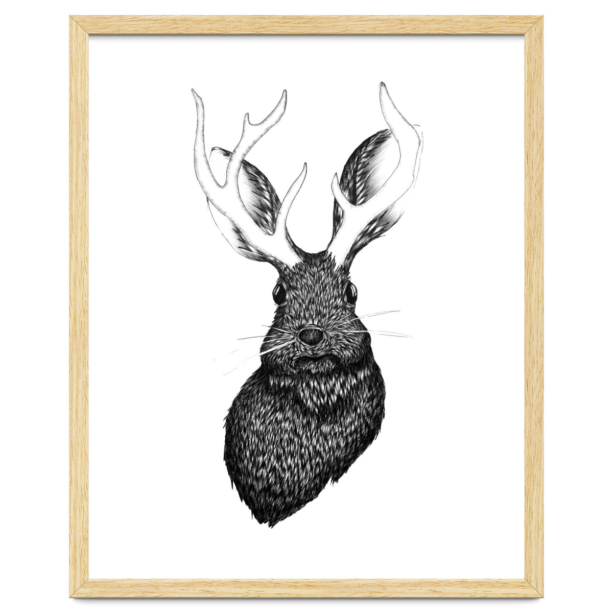 Jackalope