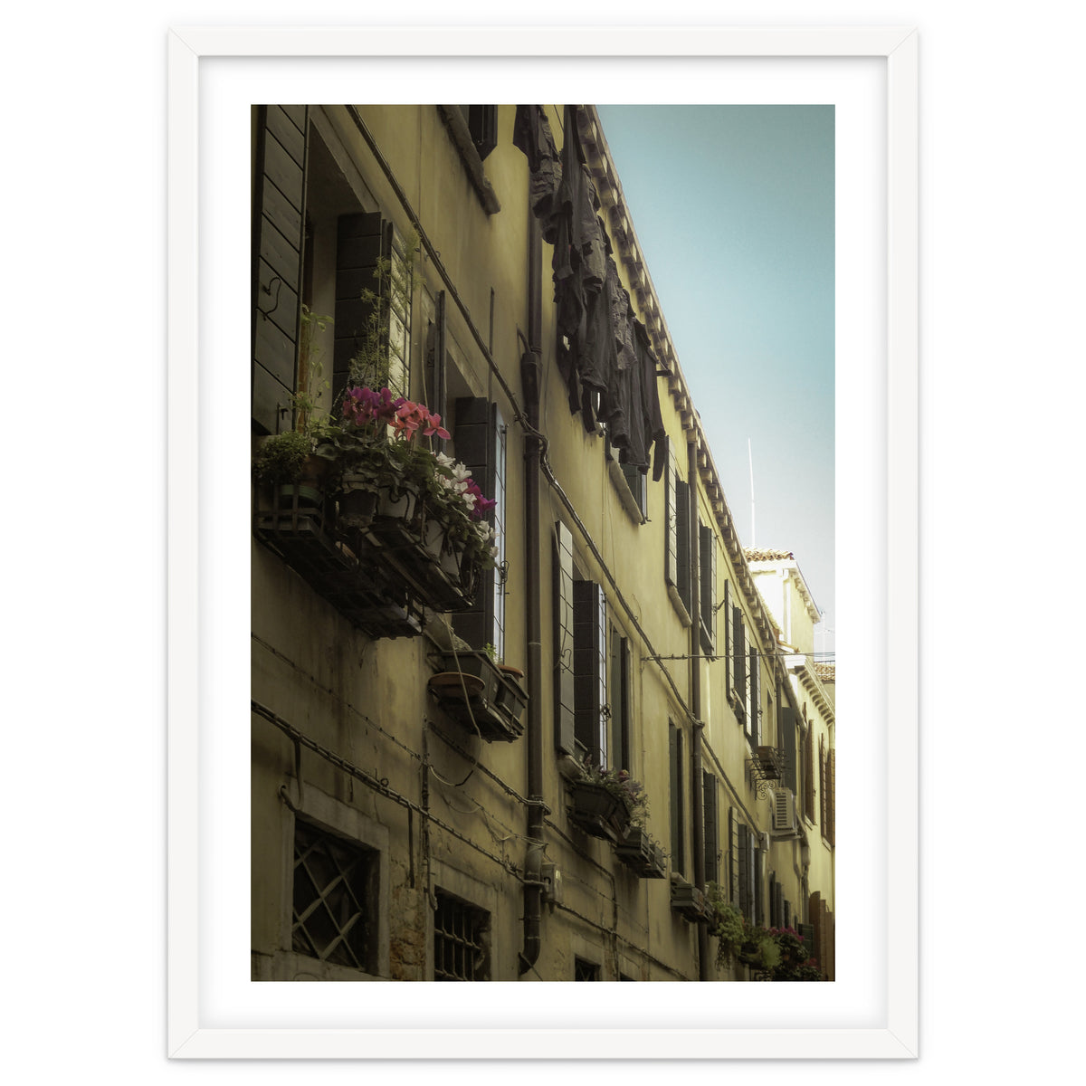 Windows From Tuscany 1