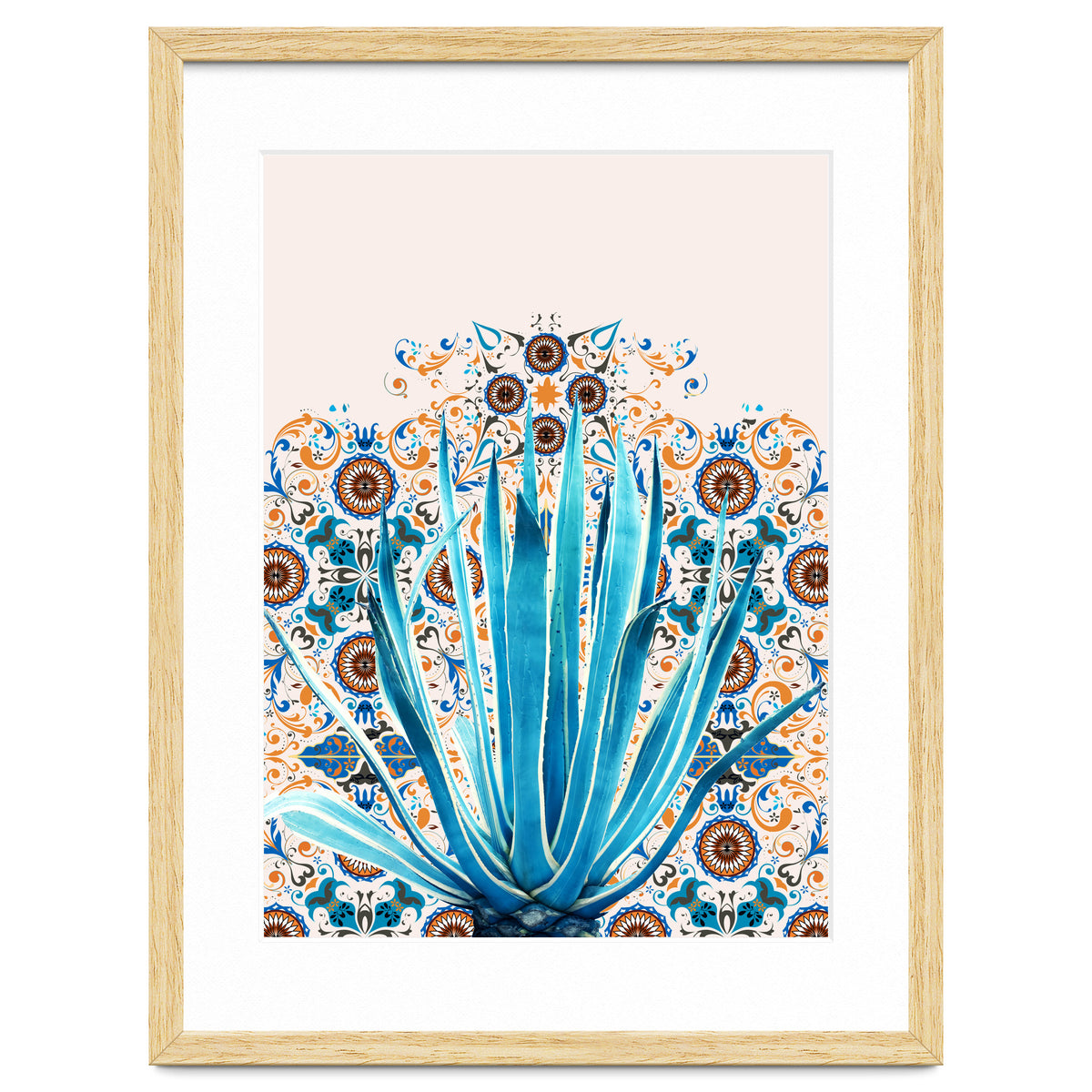 Cactus and Moroccan tiles