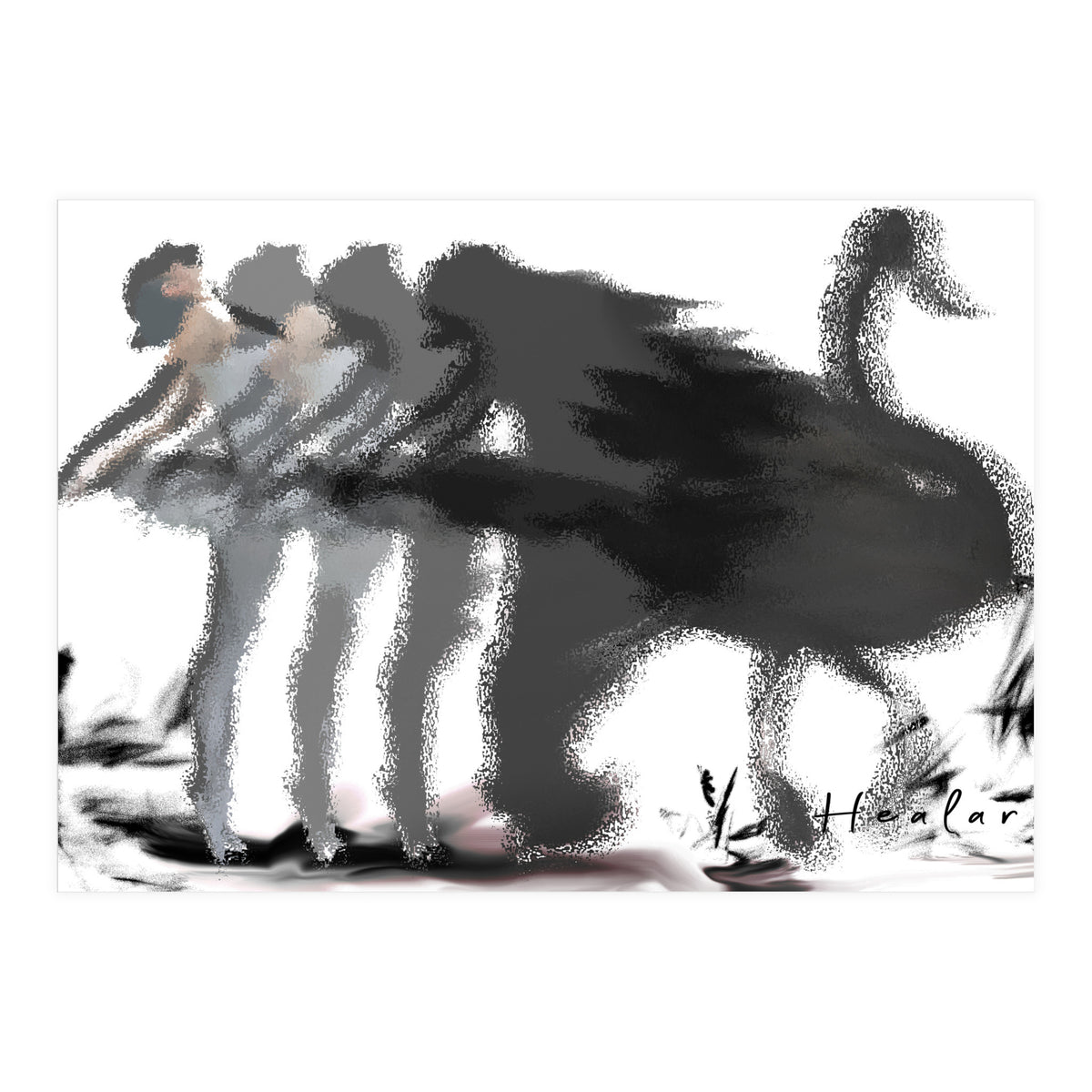 The Black Swan (Print Only)