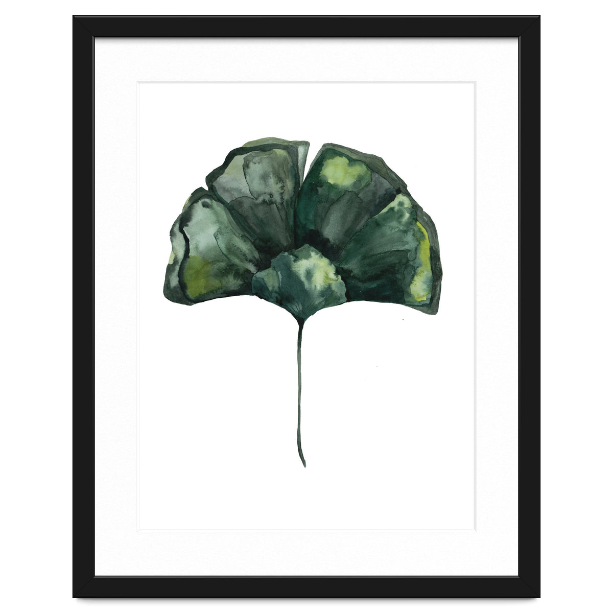 Botanical Illustration Ginko