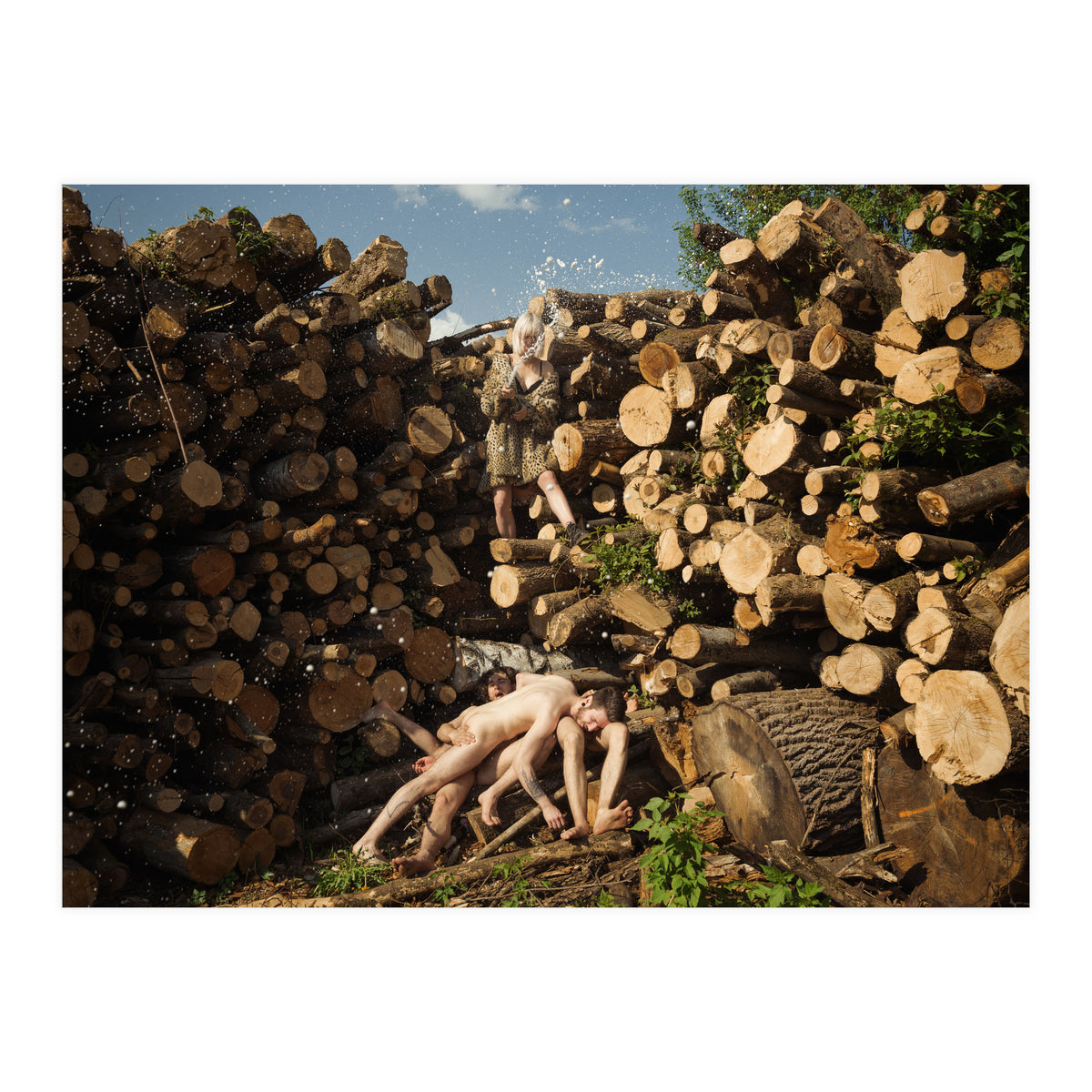 Champagne Deluxe (Print Only)