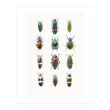 Cc Insects 03 (Print Only) thumbnail