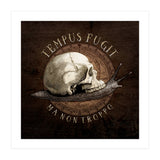 Tempus Fugit (ma non troppo) (Print Only) thumbnail