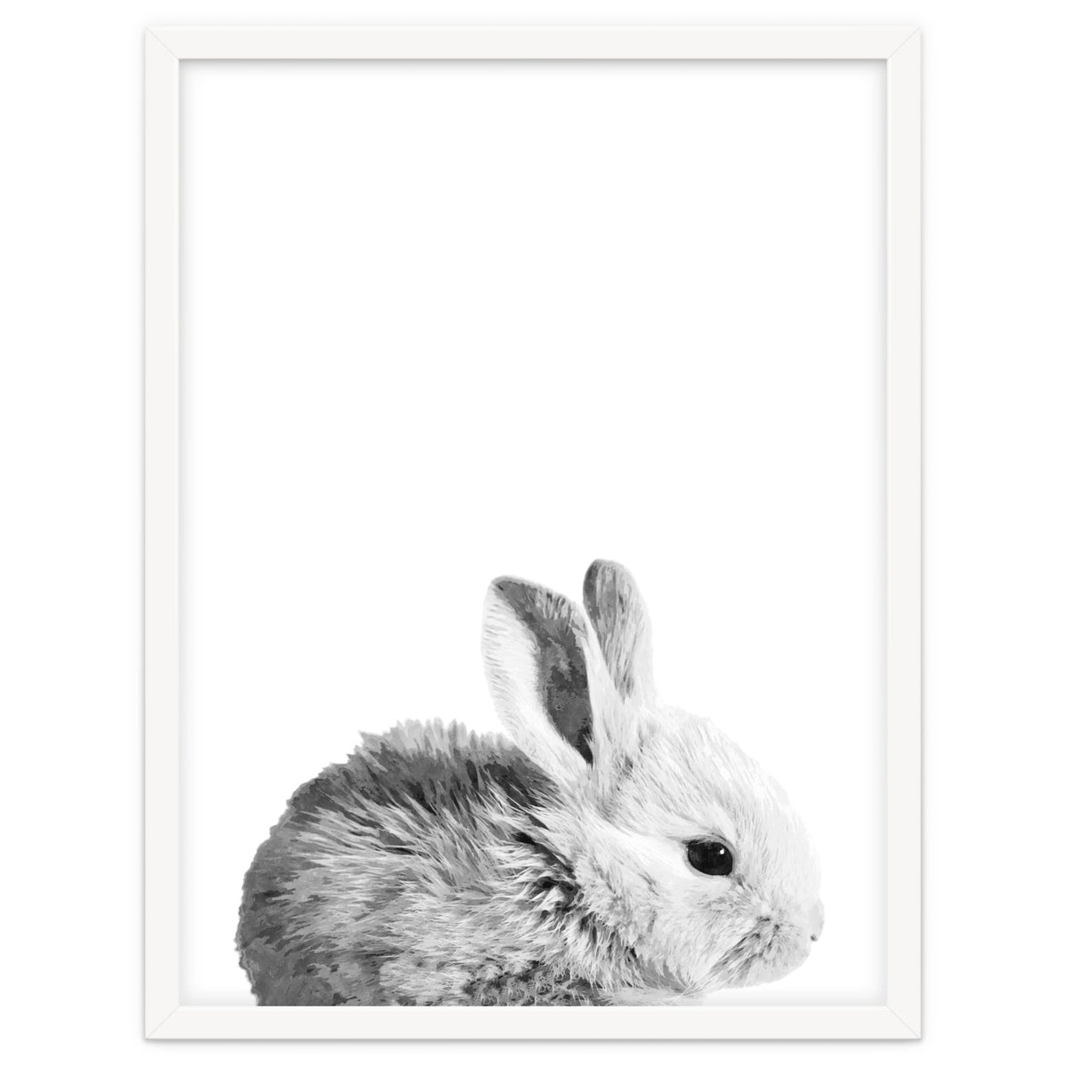 Black and White Bunny Portrait