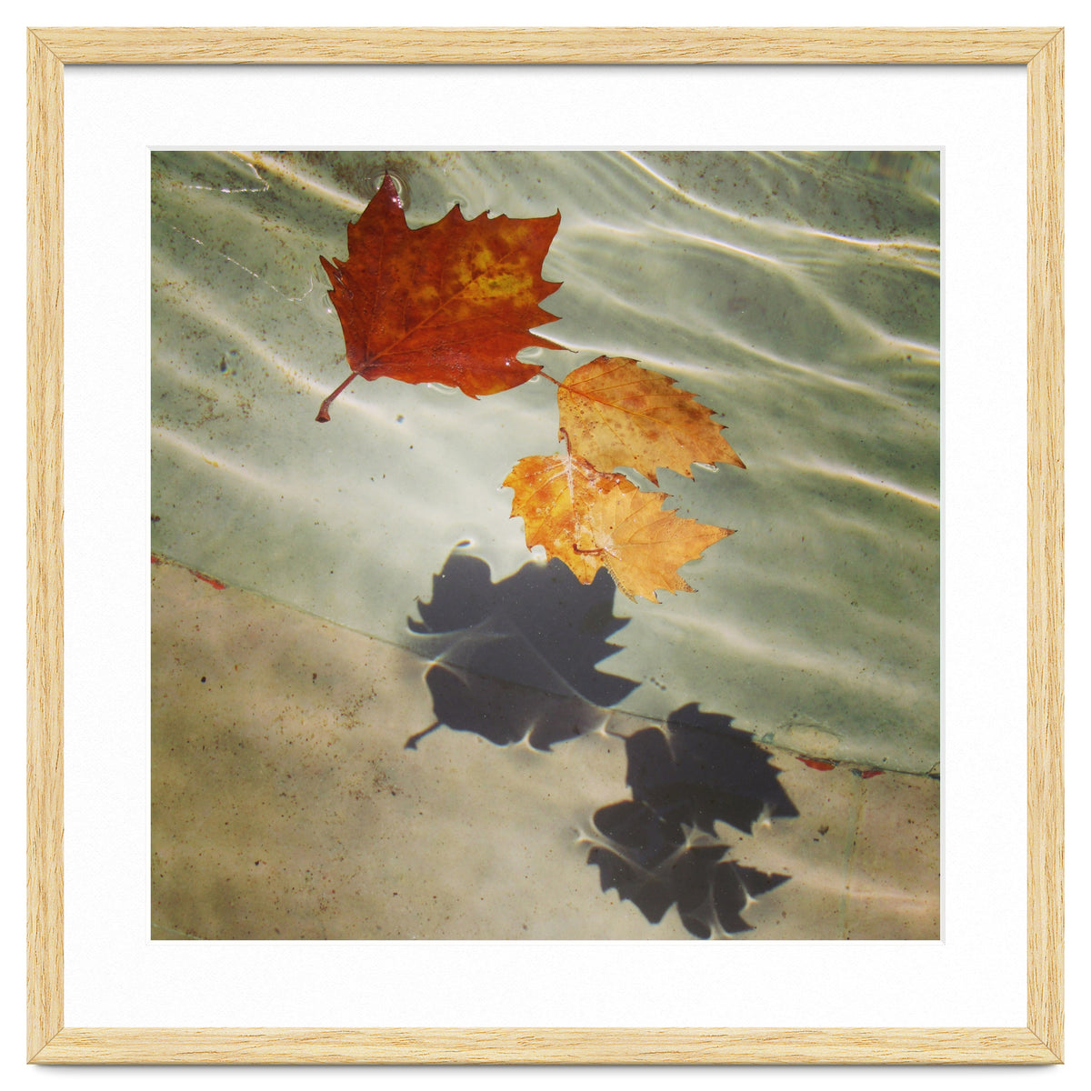 Floating leaves