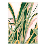 Blush Botanical Unfolding (Print Only) thumbnail