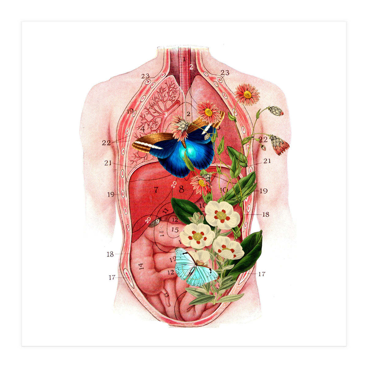 Butterflys In The Belly Makes Flower Grows (Print Only)