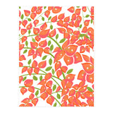 Bougainvillea Blush (Print Only) thumbnail
