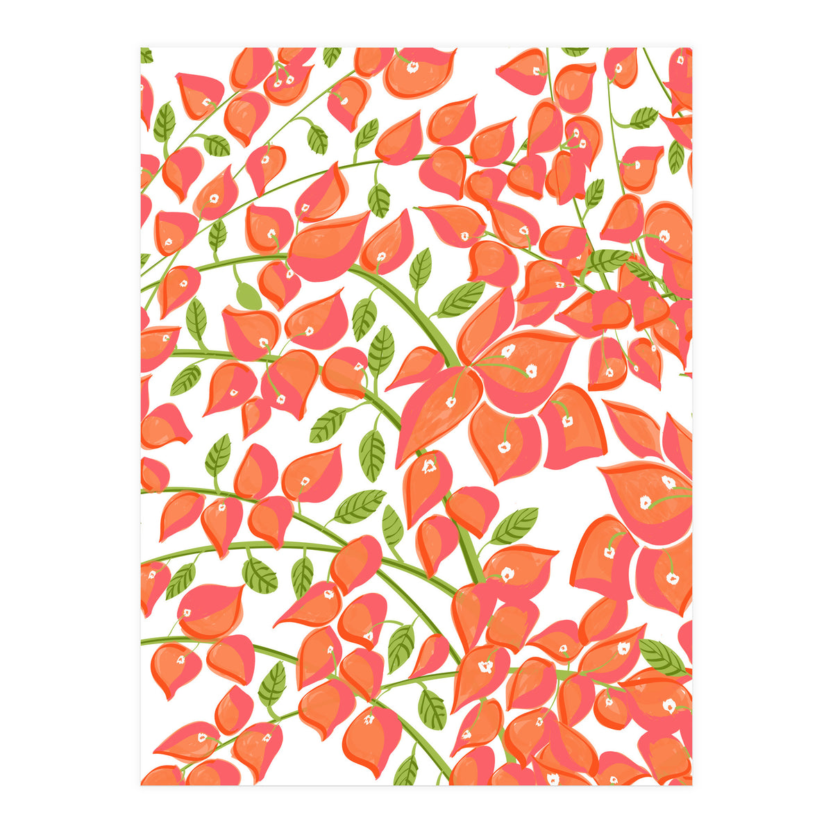 Bougainvillea Blush (Print Only)