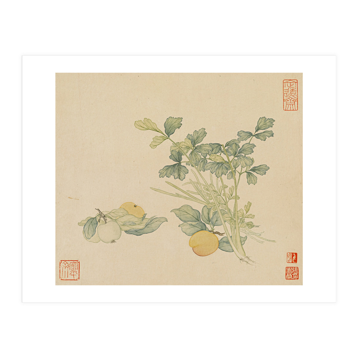 Wang Chengyu~flowers And Vegetables, Vegetables, Fruits, Plums, Apricots, Celery (Print Only)