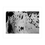 Abstract #3 (Print Only) thumbnail
