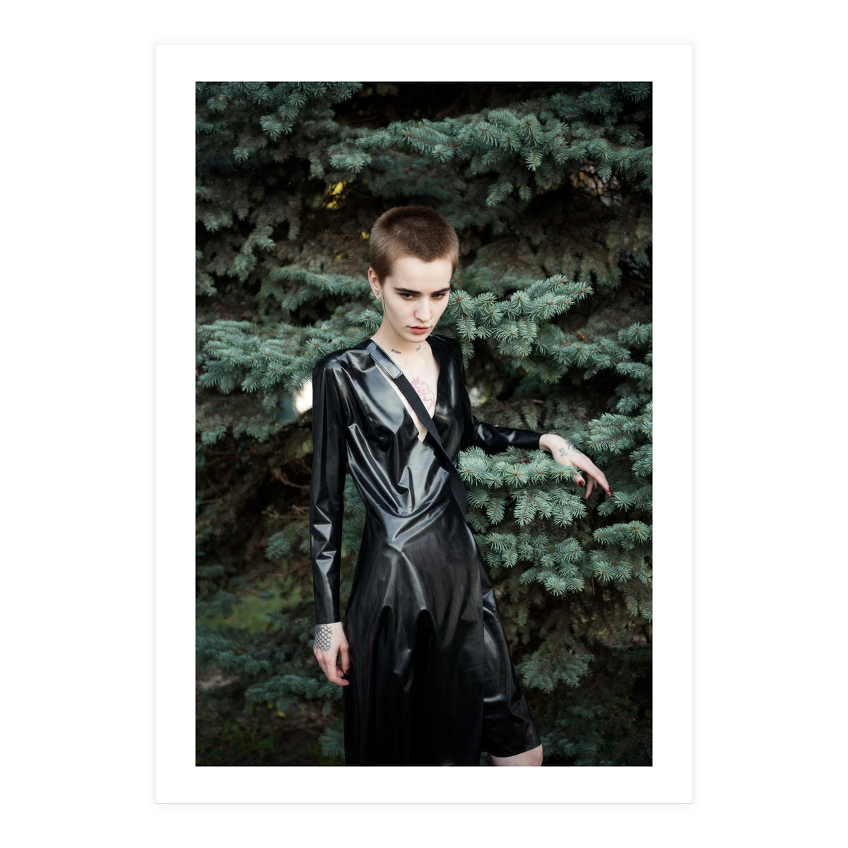 Smooth Confess (Print Only)