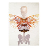 Ikarus - Like a Moth to the Flame (Print Only) thumbnail