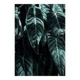 The Jungle (Print Only) thumbnail