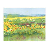 Sunflowers field  (Print Only) thumbnail