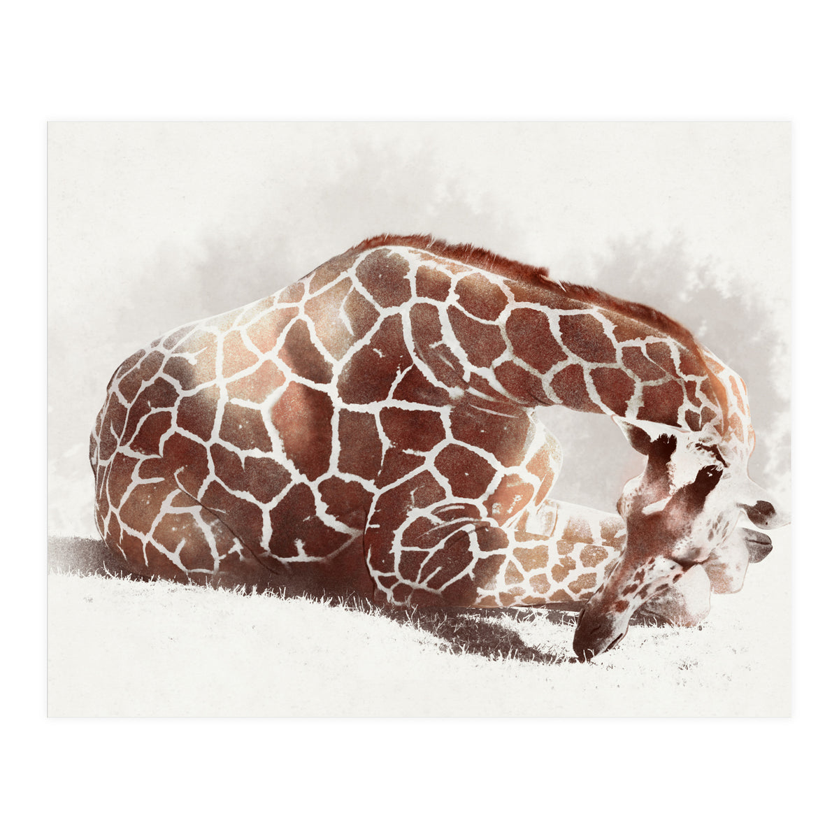 Giraffe (Print Only)