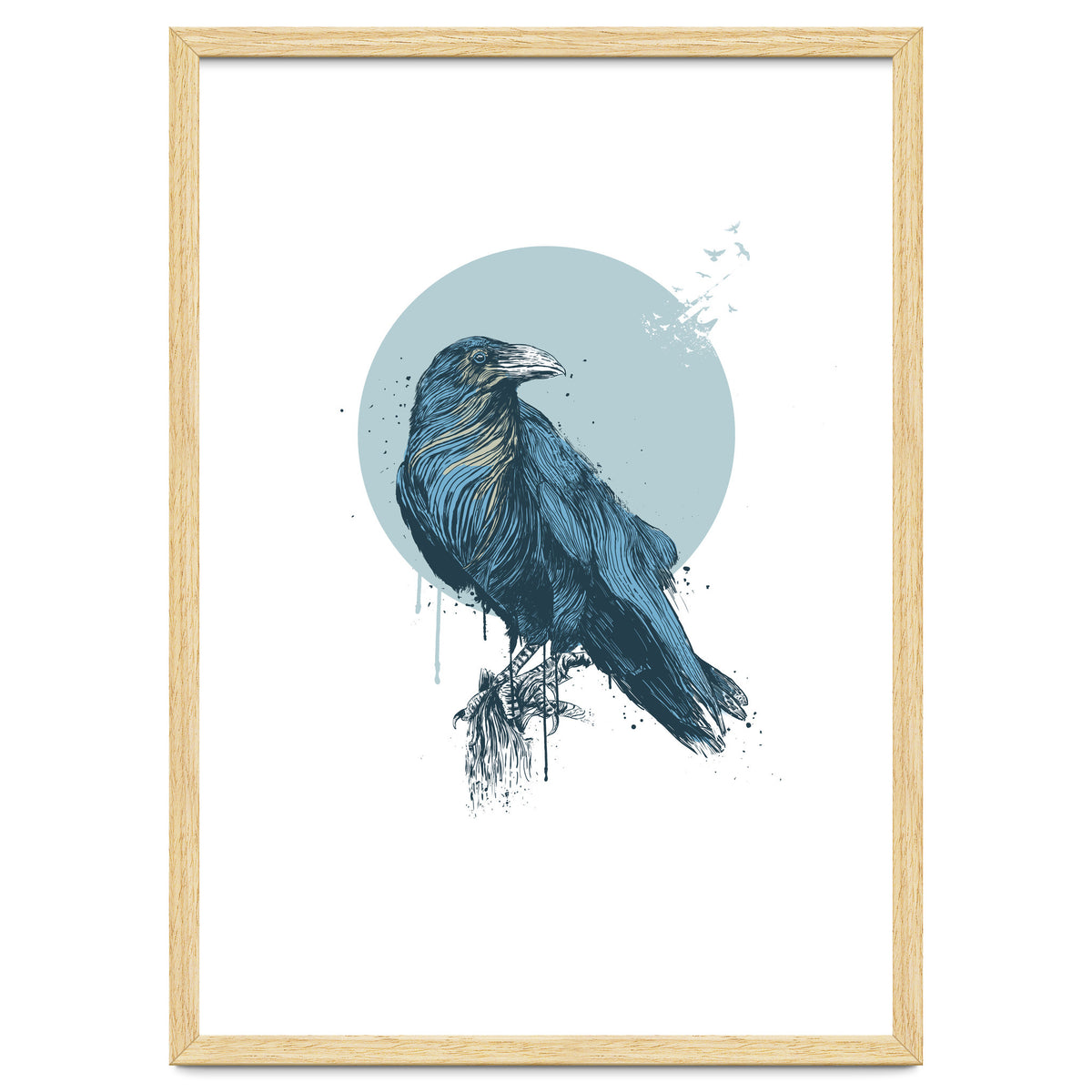 Blue Crow