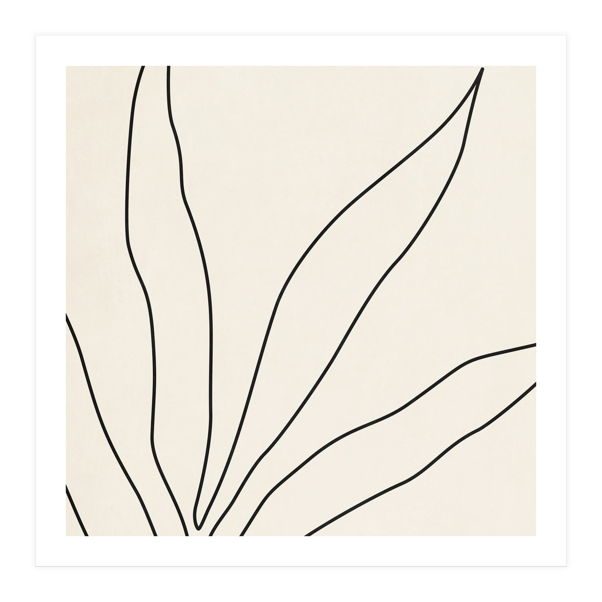 LEAF IN LINE 02 (Print Only)