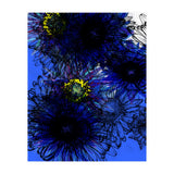 Untitledl 1 (Print Only) thumbnail
