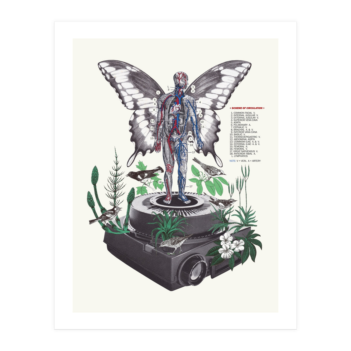 Hologram (Print Only)