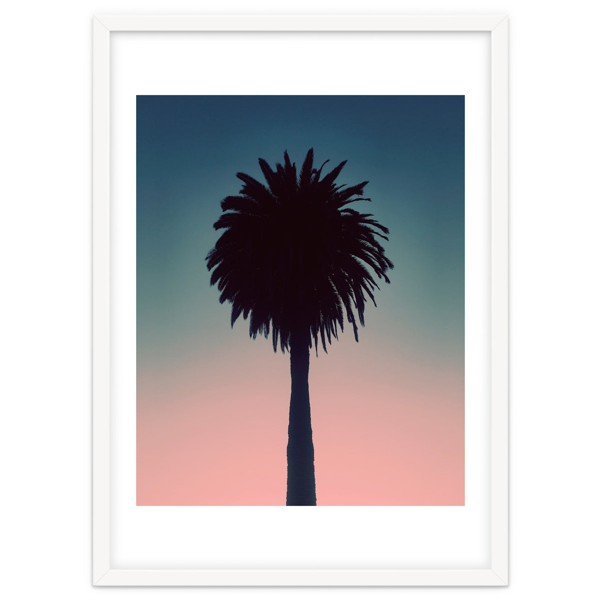 Sundown Palm
