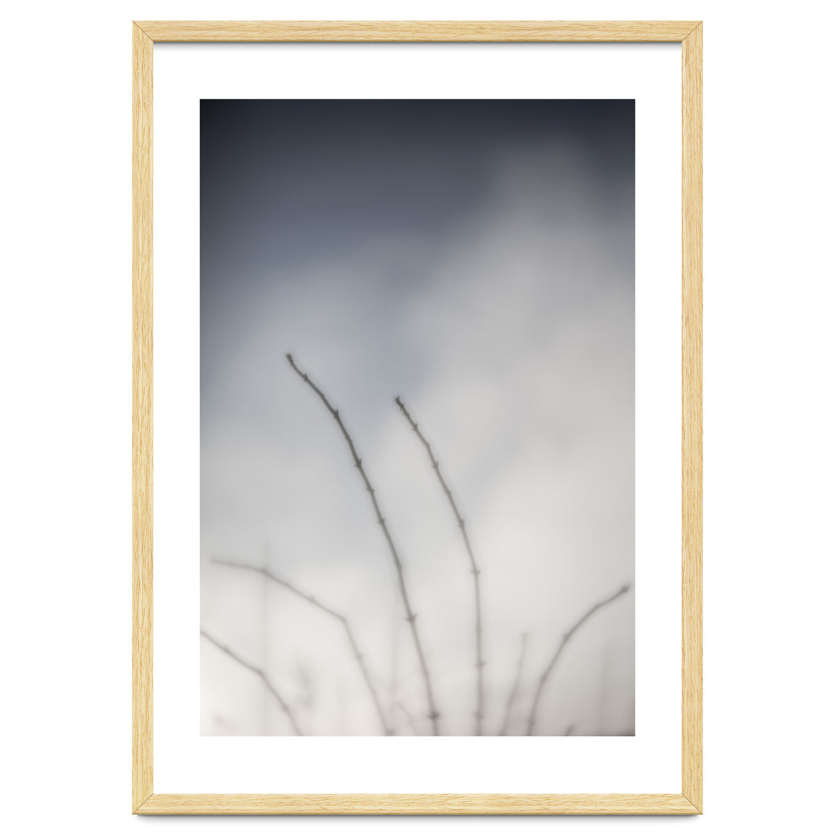 Forgotten Memories of summer #18