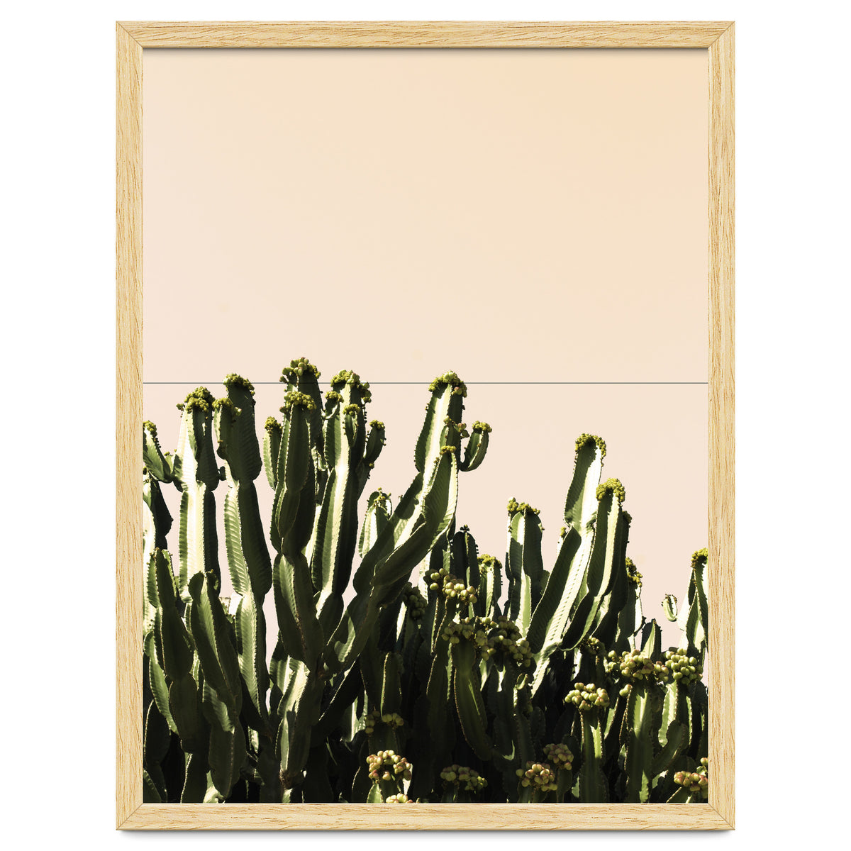 Cactus Vertical Color