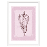 Magnolia Neutral Abstract Botanical