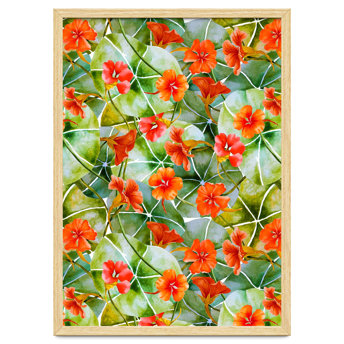Nasturtiums watercolor 01