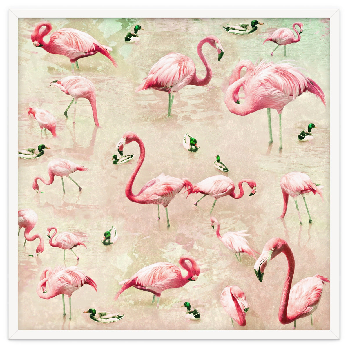 Flamingos Vintage Pink