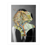 Crazy Woman 210 (Print Only) thumbnail