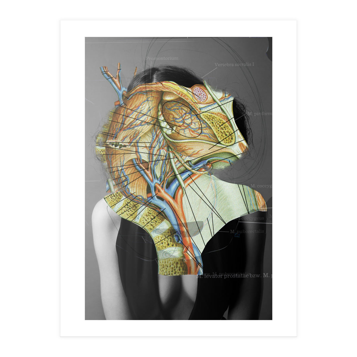 Crazy Woman 210 (Print Only)