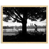 Central Park, New York City thumbnail