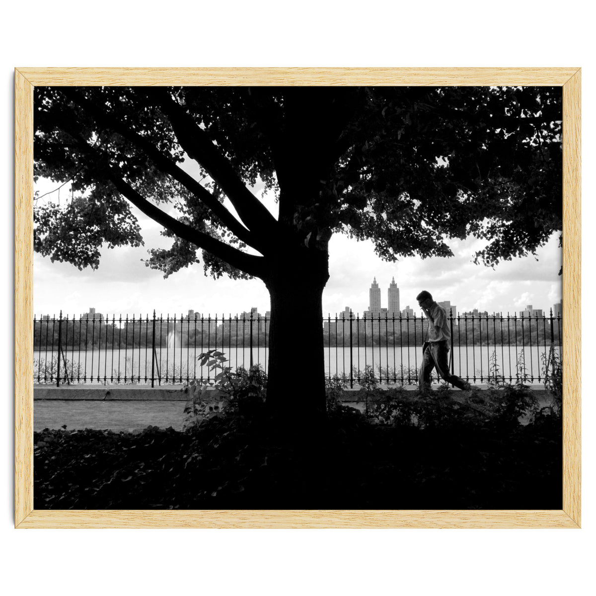 Central Park, New York City