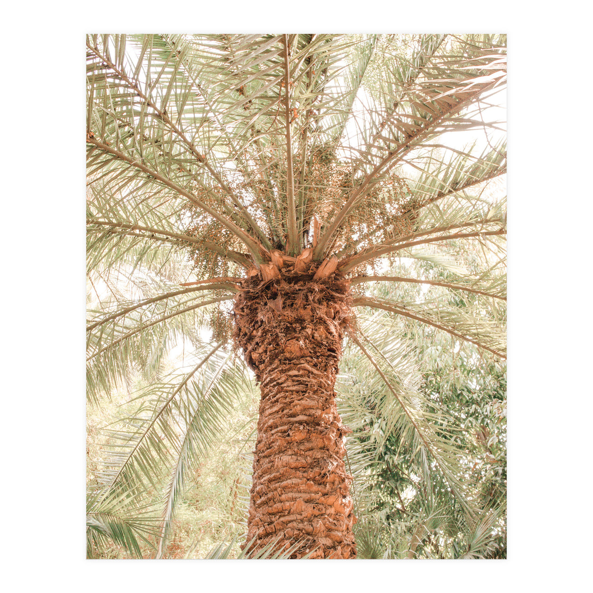 Tropical 2 (Print Only)