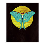 Luna Moth Moon (Print Only) thumbnail