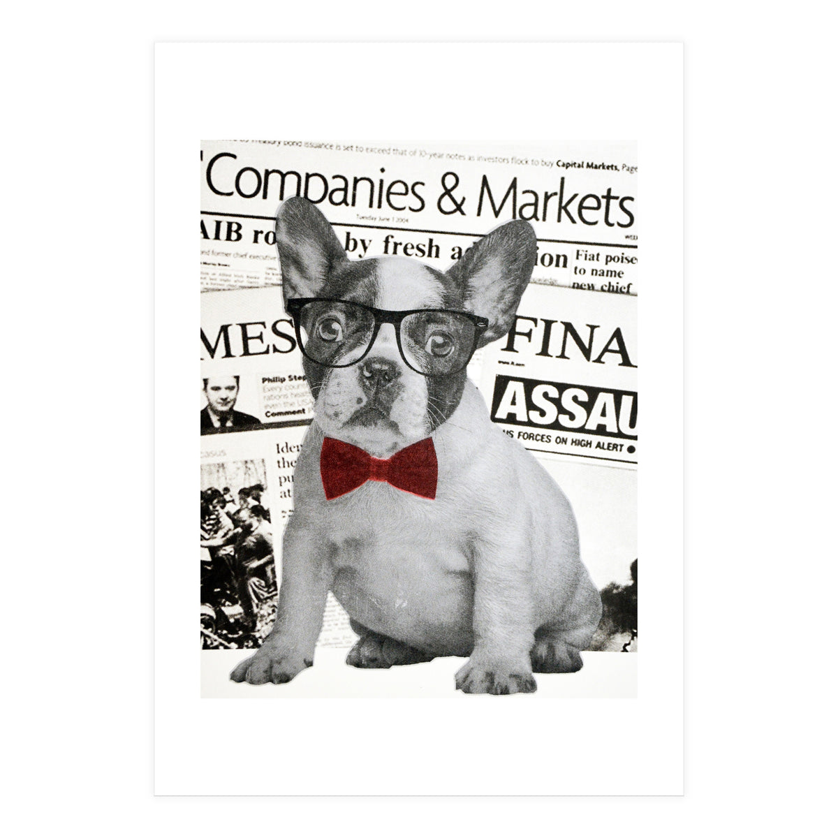 The Dog Of Wall Street (Print Only)