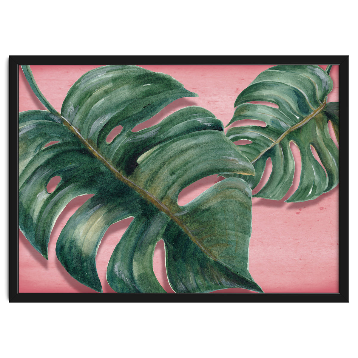 Monstera Leaf