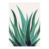 Desert Agave (Print Only) thumbnail