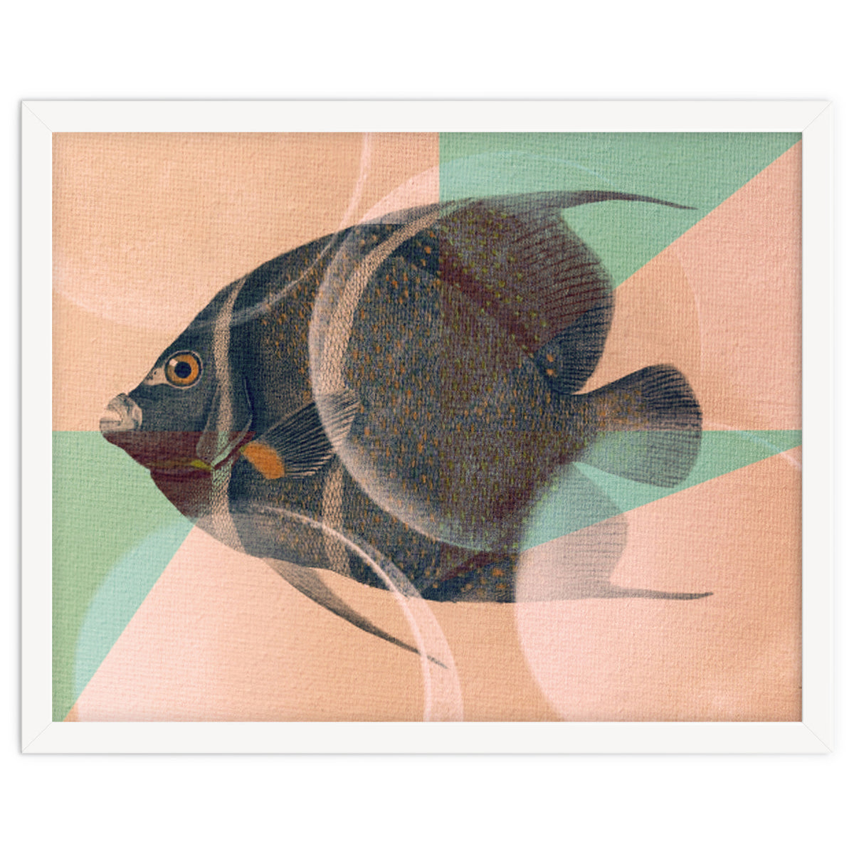 Fish Between Circles 2
