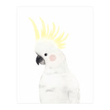 Sweet Cockatoo (Print Only) thumbnail