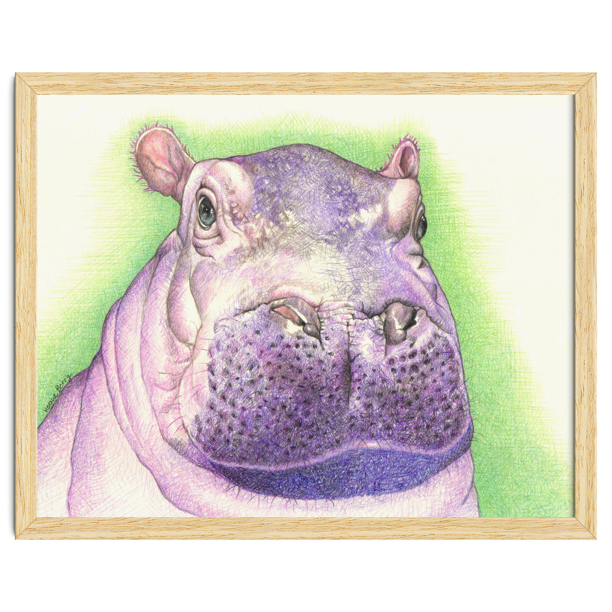 Purple Hippo