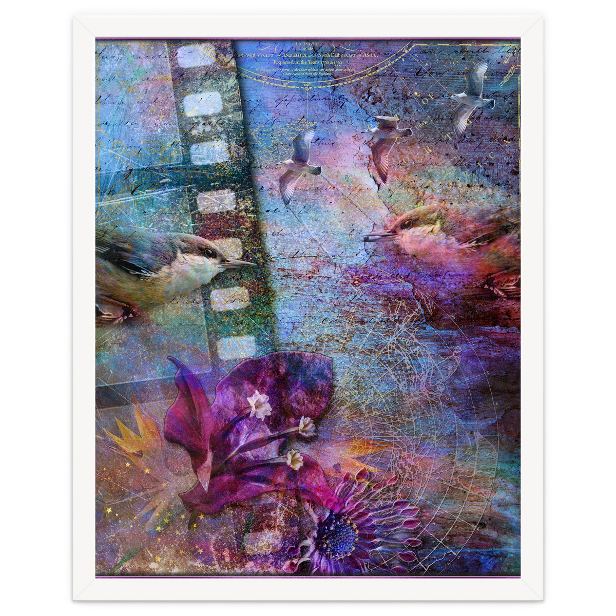 Watching the Wild World