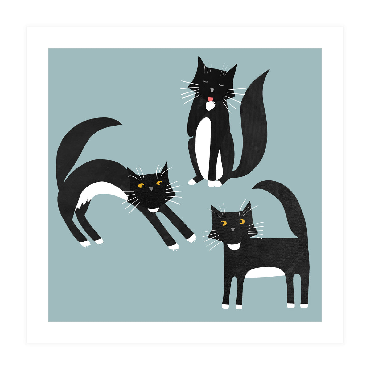 Black and White Tuxedo Cats (Print Only)