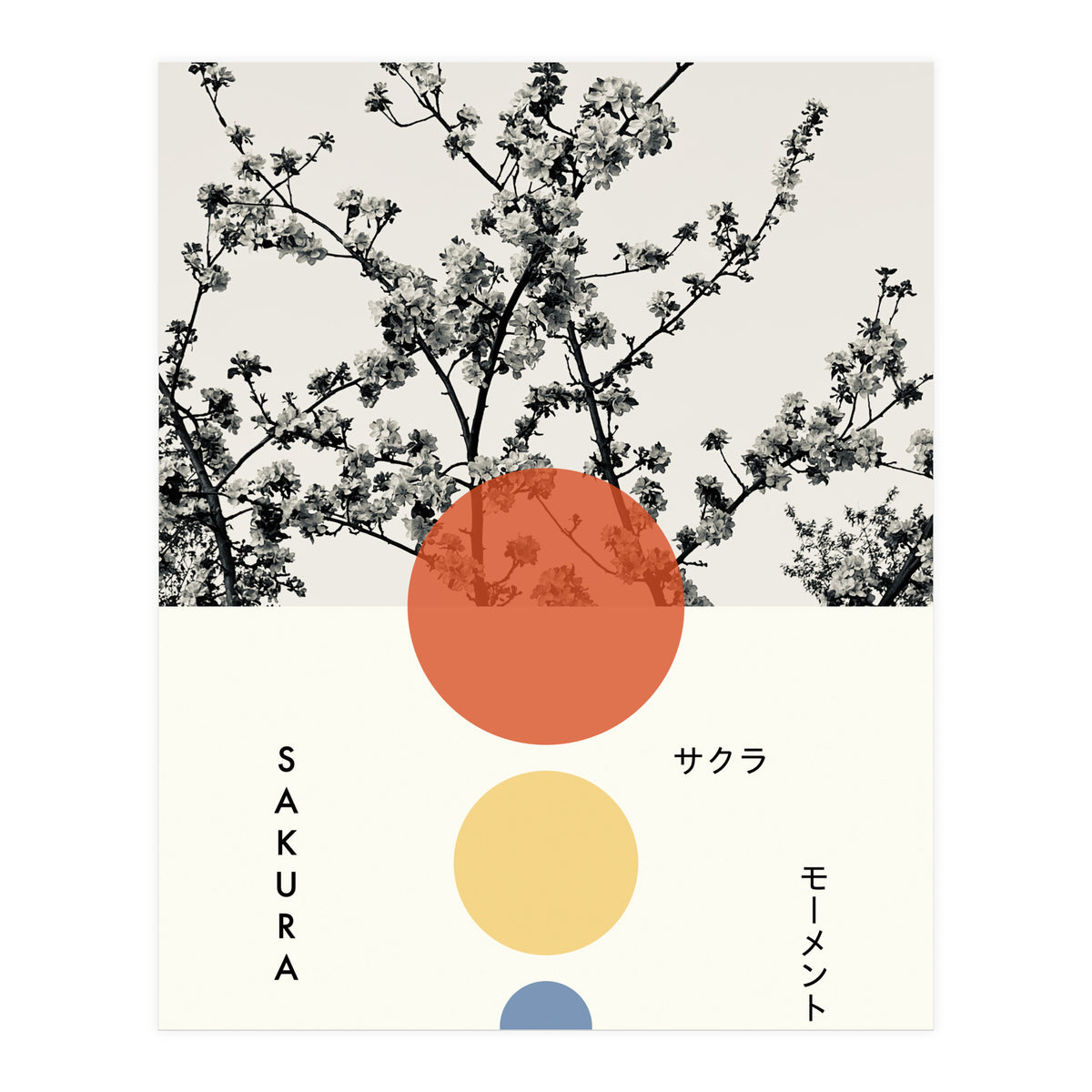 Sakura - Cherry blossom - Japanese - Photography (Print Only)